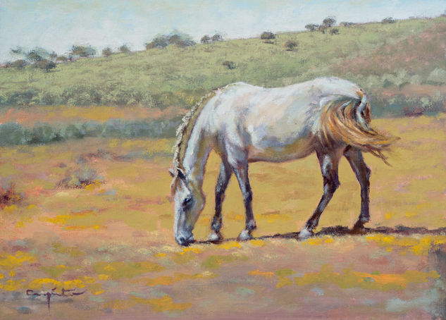 Caballo blanco Oil Canvas Landscaping