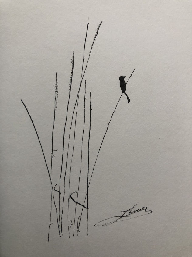 Pajarito entre los juncos
