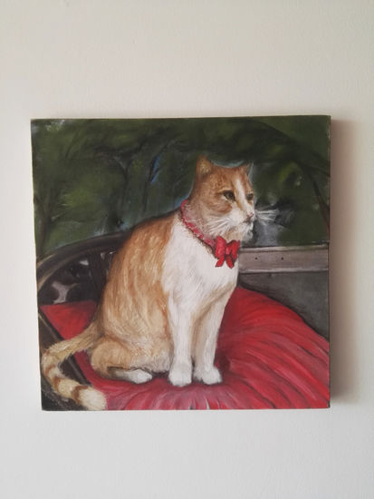 Gato sentado en cojín Acrylic Canvas Animals