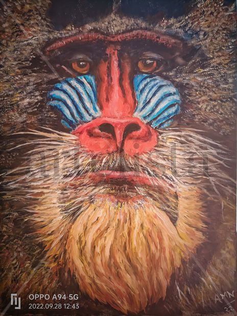 Mandril