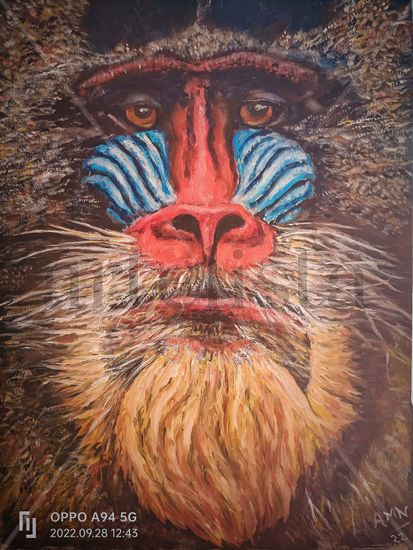 Mandril Oil Panel Animals