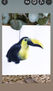 Tucan