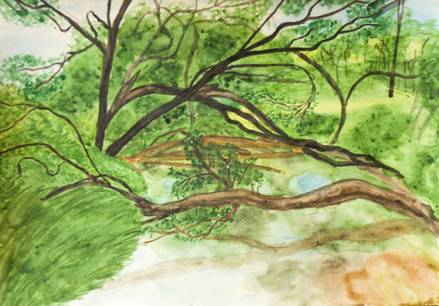 Summer landscape with river and trees