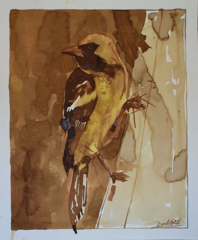 El vuelo de icterus