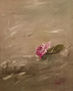 Flor de paso