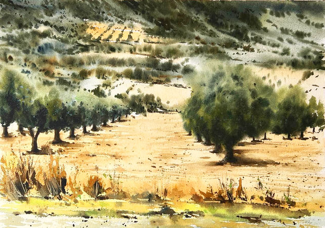 olivos en campo real madrid 2 Acuarela Papel Paisaje