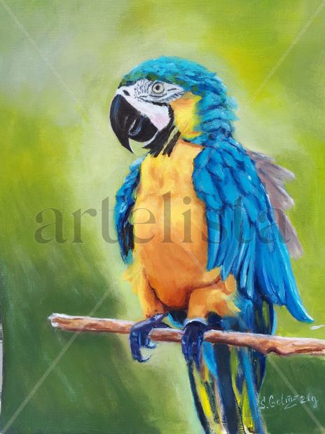 Loro