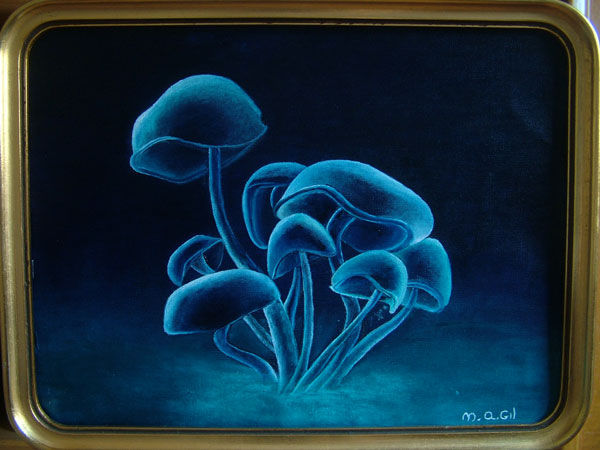 Medusas Oil Canvas Landscaping