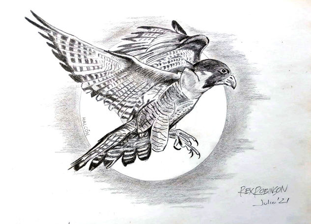 Flight of the falcon Lápiz