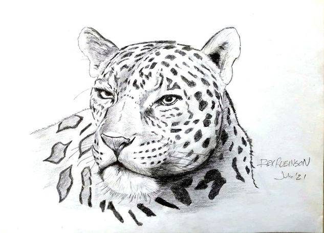 Jaguar Lápiz