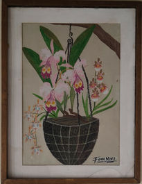 Orquídeas 1