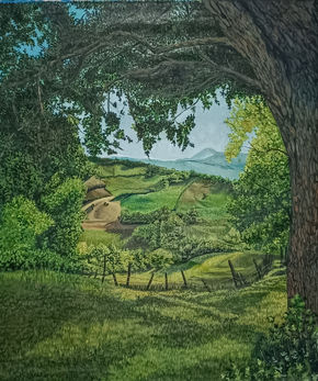 Bosque Remoto