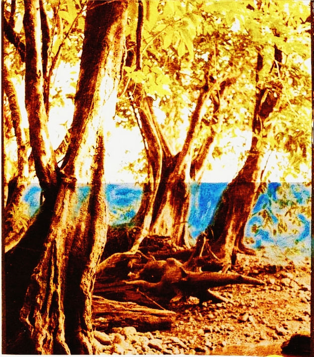 Cerca del mar
