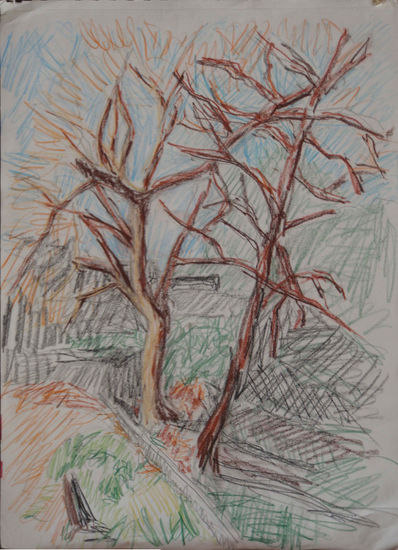 Roures de l'hort a l'ivern Pencil (coloured) Paper Landscaping