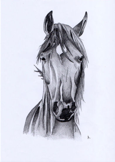 Caballo a lápiz Pencil