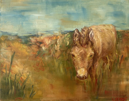 Burro de Tandil