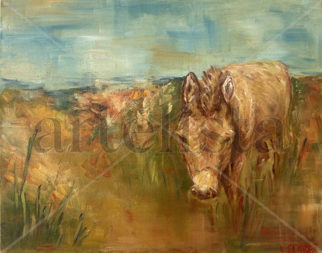 Burro de Tandil