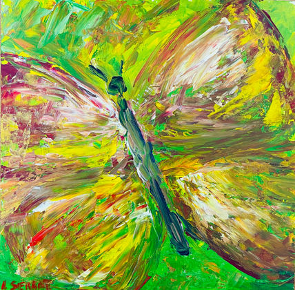 Primeras mariposas