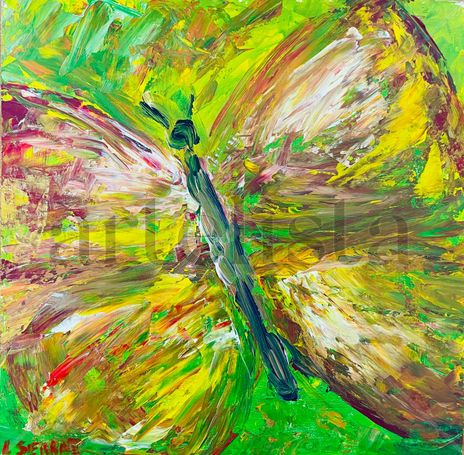 Primeras mariposas