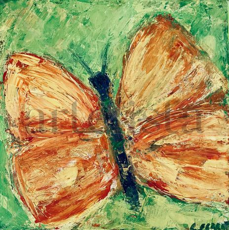 Mi mariposa