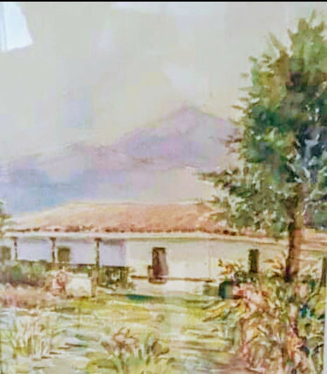 Cabaña 4