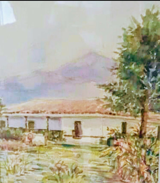 Cabaña 4