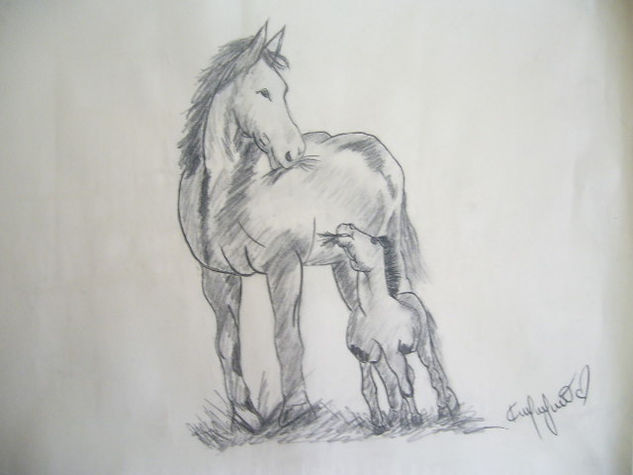 caballos Pencil