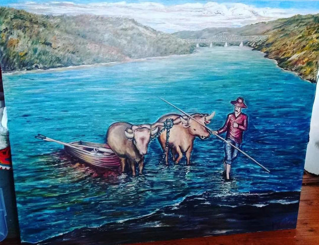 Bueyes en rio Maule , (Cristian Loyola barra, Curicó, chile)