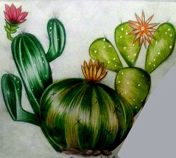 Cactus Acrylic Card Floral Painting