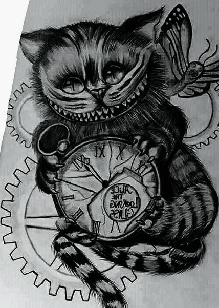 Gato
