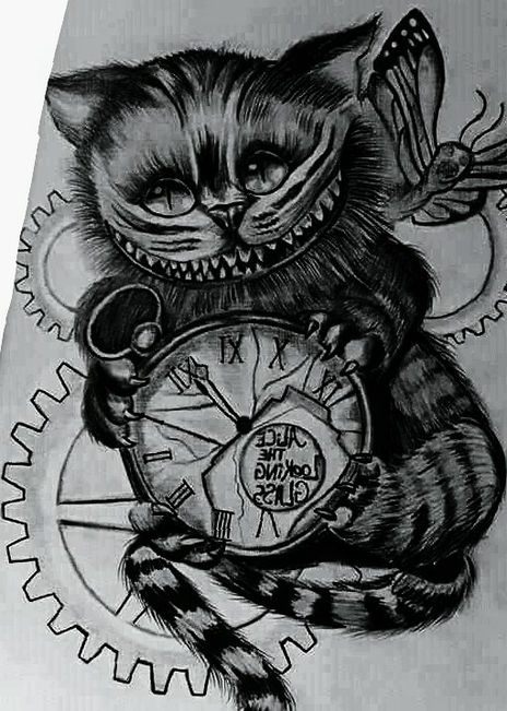Gato