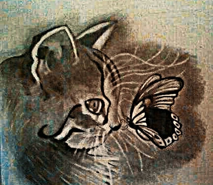 Gato y msriposa