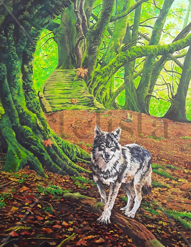 The lady of the forest