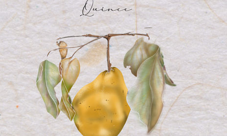 frutas