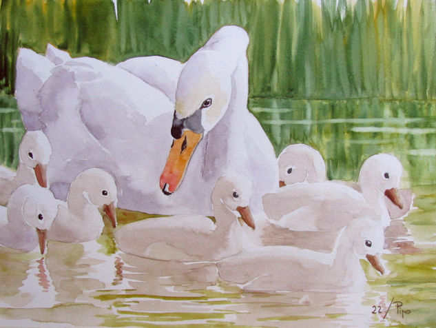 familia de cisnes Watercolour Paper Animals