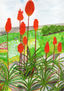 Jardín en primavera