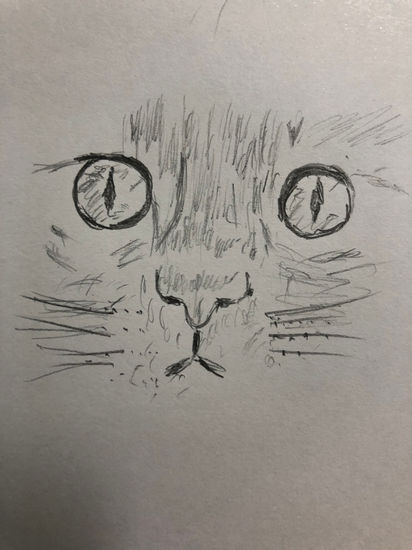 Gato 2 Pencil