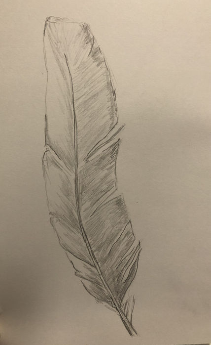 Pluma