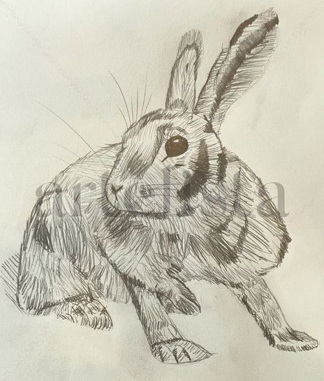 El conejo