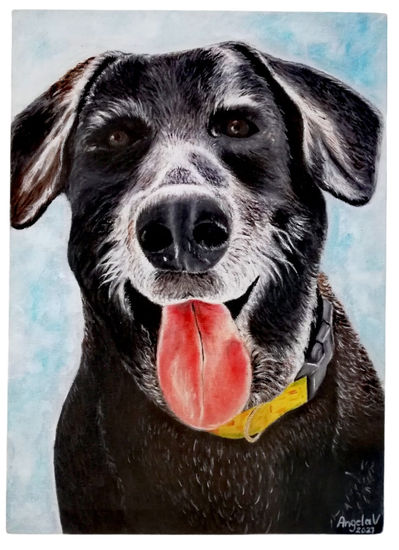 Mi Mascota Oil Canvas Animals