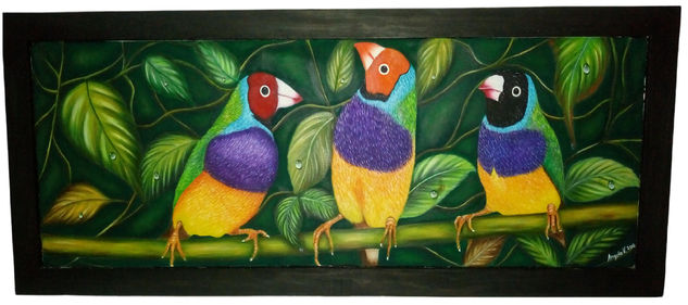 Pinzon Arcoiris Oil Canvas Animals