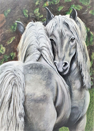 Caballos Acrylic Canvas Animals