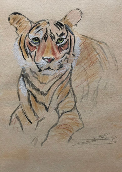 Tigre Watercolour Paper Animals