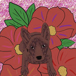 2020-2022 (II) thumbnail 2