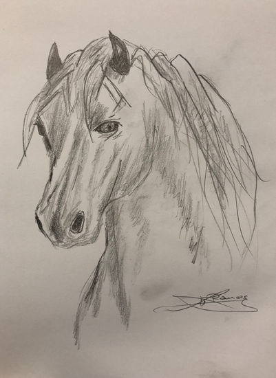 Caballo Pencil