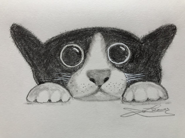 Gatito al acecho