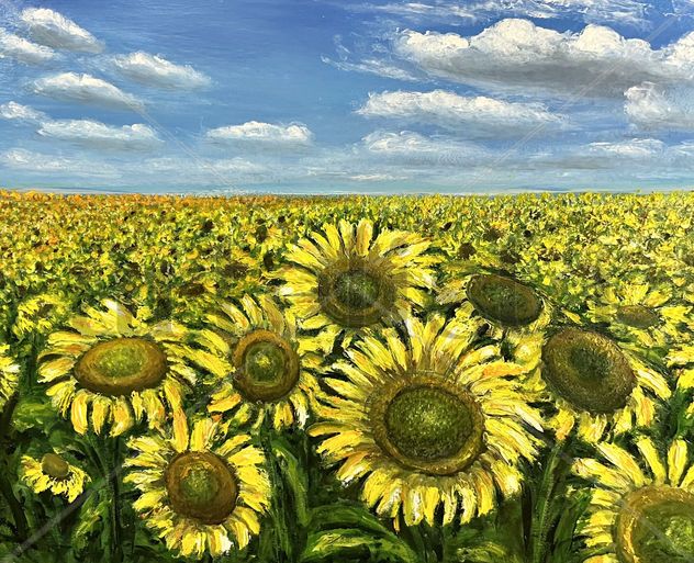el campo de girasoles