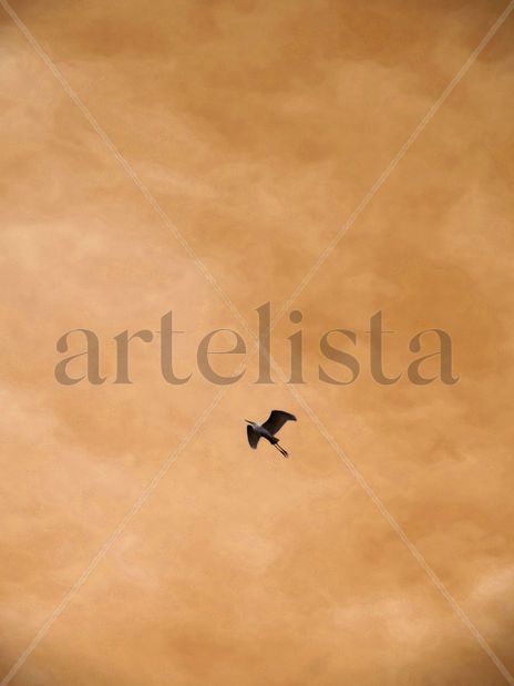 Aventura de la tarde