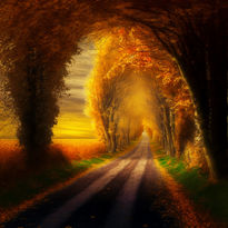 Golden road