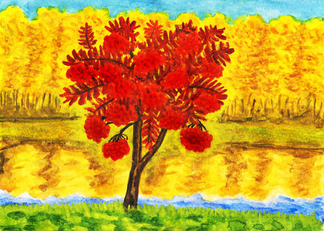Ash tree in autumn